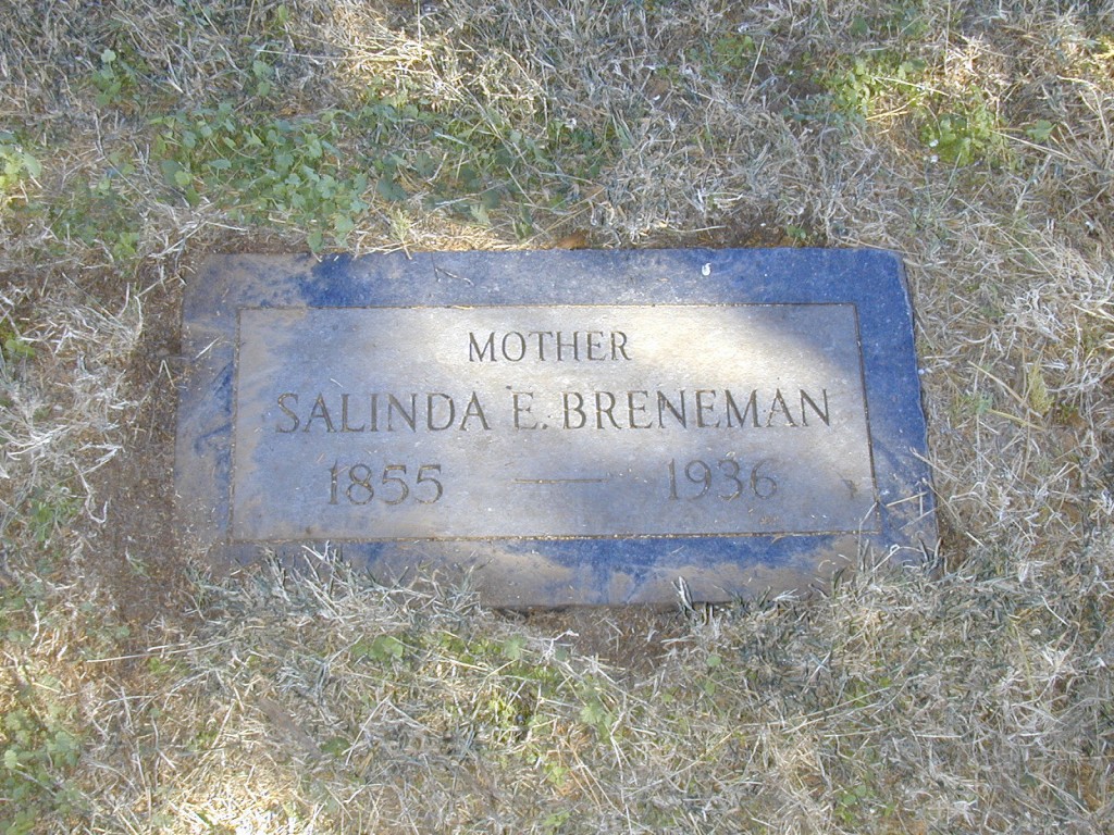 Salinda Breneman  -  396