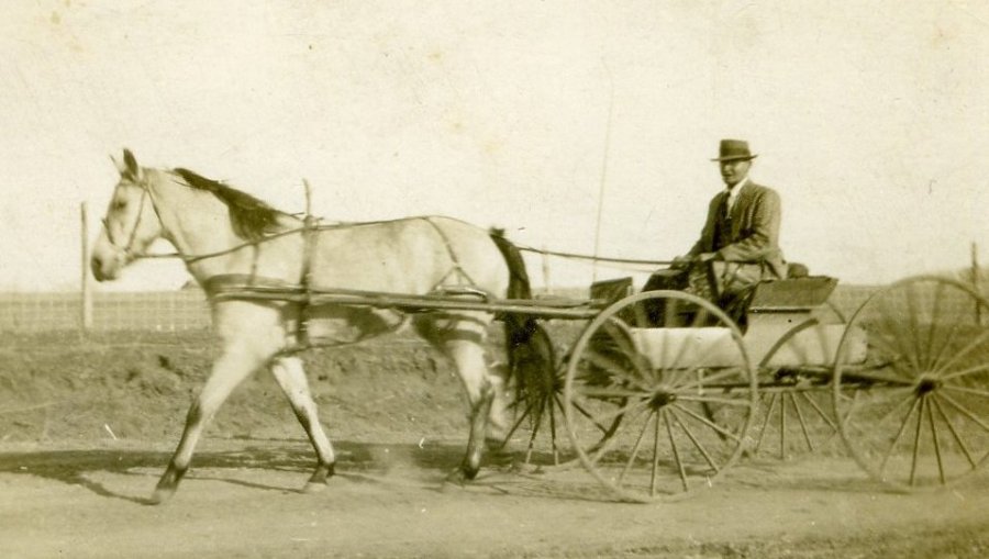 Constantine "Tom" Breneman & Horse & Buggy